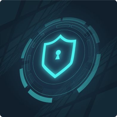 Ciberseguridadaxyom
